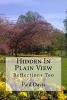 Hidden in Plain View, Volume 2 - Reflections Too (Paperback) - Paul Davis Photo