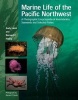 Marine Life of the Pacific Northwest - A Photographic Encyclopedia of Invertebrates, Seaweeds and Selected Fishes (Hardcover) - Andy Lamb Photo