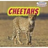 Cheetahs (Paperback) - Clara Reade Photo