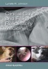 Clinical Canine and Feline Respiratory Medicine (Paperback) - Lynelle R Johnson Photo