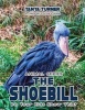 The Shoebill Do Your Kids Know This? - A Children's Picture Book (Paperback) - Tanya Turner Photo