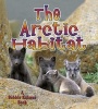 An Arctic Habitat (Paperback, New ed) - Molly Aloian Photo