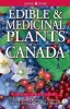 Edible and Medicinal Plants of Canada (Paperback) - Andy MacKinnon Photo