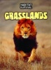 Grasslands (Paperback) - Buffy Silverman Photo