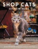 Shop Cats of New York (Hardcover) - Tamar Arslanian Photo