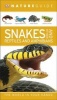 Nature Guide Snakes and Other Reptiles and Amphibians (Paperback) - Dk Photo