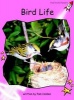 Bird Life - Pre-reading (Paperback, International edition) - Pam Holden Photo