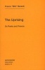 The Uprising - On Poetry and Finance (Paperback) - Franco Bifo Berardi Photo