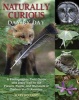 Naturally Curious Day by Day - A Photographic Field Guide and Daily Visit to the Forests, Fields, and Wetlands of Eastern North America (Paperback) - Mary Holland Photo