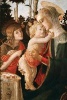 Sandro Botticelli's 'Madonna and Child with St. John the Baptist' Art of Life Jo (Paperback) - Ted E Bear Press Photo