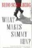 What Makes Sammy Run? (Paperback, 1st Vintage Books ed) - Budd Schulberg Photo