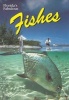 Florida's Fabulous Fishes (Paperback) - Gary Cochran Photo