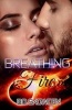 Breathing Fire (Paperback) - B D Snowden Photo