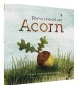 Because of an Acorn (Hardcover) - Lola M Schaefer Photo