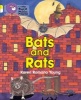 Bats and Rats - Band 03 Yellow/Band 10 White (Paperback) - Karen Romano Young Photo