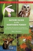 Nature Guide to the Northern Forest - Exploring the Ecology of the Forests of New York, New Hampshire, Vermont, and Maine (Paperback) - Peter J Marchand Photo