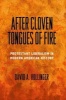 After Cloven Tongues of Fire - Protestant Liberalism in Modern American History (Hardcover) - David A Hollinger Photo