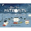 How the Meteorite Got to the Museum (Hardcover) - Jessie Hartland Photo