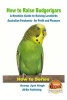 How to Raise Budgerigars - A Newbie's Guide to Raising Lovebirds - Australian Parakeets - For Profit and Pleasure (Paperback) - Dueep Jyot Singh Photo