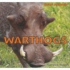 Warthogs (Paperback) - Katherine Walden Photo