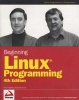 Beginning Linux Programming (Paperback, 4th Revised edition) - Neil Matthew Photo