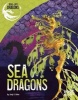 Sea Dragons (Hardcover) - Jody S Rake Photo