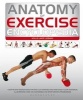 Anatomy of Exercise Encyclopedia (Hardcover) -  Photo