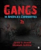 Gangs in America's Communities (Paperback, 2nd Revised edition) - James C Howell Photo