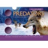 Predators - Come Face-To-Face with the World's Most Fierce Creatures (Hardcover) - Barbara Taylor Photo