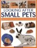 Looking After Small Pets - an Authoritative Family Guide to Caring for Rabbits, Guinea Pigs, Hamsters, Gerbils, Jirds, Rats, Mice and Chinchillas, with More Than 250 Photographs (Paperback) - David Alderton Photo