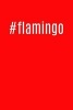 #Flamingo - Cool Hashtag Writing Journal Lined, Diary, Notebook for Men & Women (Paperback) - Journals and More Photo