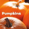 Pumpkins (Paperback) - Erika L Shores Photo