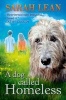 A Dog Called Homeless (Paperback) - Sarah Lean Photo