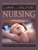 Labor and Delivery Nursing - Guide to Evidenced-based Practice (Paperback, New) - Michelle Murray Photo