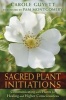 Sacred Plant Initiations - Communicating with Plants for Healing and Higher Consciousness (Paperback) - Carole Guyett Photo