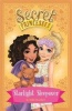 Starlight Sleepover (Paperback) - Rosie Banks Photo