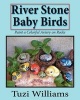 River Stone Baby Birds - Paint a Colorful Aviary on Rocks (Paperback) - Tuzi Williams Photo