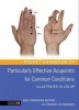 Pocket Handbook of Particularly Effective Acupoints for Common Conditions (Paperback) - Guo Changqing Guoyan Photo