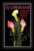 My Gratitude Journal - Loving Relationships, Health & Financial Independence & So Much More (Paperback) - Richard M Voigt Photo