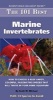 The 101 Best Marine Invertebrates (Paperback) - Scott W Michael Photo