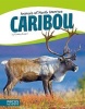 Caribou (Hardcover) - Tammy Gagne Photo