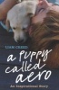 A Puppy Called Aero - An Inspirational Story (Paperback) - Liam Creed Photo