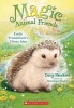 Magic Animal Friends #6 Emily - Prickleback's Clever Idea (Paperback) - Daisy Meadows Photo