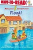 Flood! (Paperback) - Marion Dane Bauer Photo