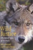 Wild Justice - The Moral Lives of Animals (Paperback) - Marc Bekoff Photo