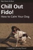 Chill Out Fido! - How to Calm Your Dog (Paperback) - Nan Kene Arthur Photo