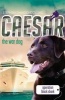 Caesar the War Dog 5 (Paperback) - Stephen Dando Collins Photo