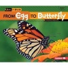 From Egg to Butterfly (Paperback) - Shannon Zemlicka Photo