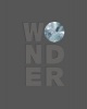 Wonder (Hardcover) - Nicholas Bell Photo