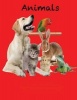 Animals - Animals for Kids, Animal Book, Spanish, Alphabet Book, Colors (Paperback) - Alex Addo Photo